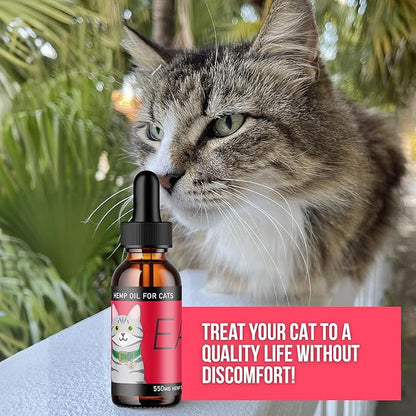 Hemp Dog Health Ease for Cats - Natural Cat Hemp Oil for Mobility & Joint Support - Senior Cat Wellness Drops for Hip & Joint Comfort