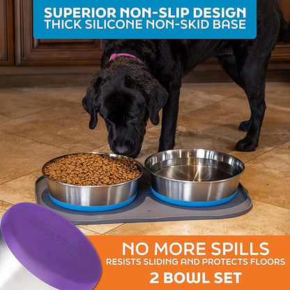 Master Pet Supply Stainless Steel Dog Bowls Set of 2 with Extra Thick Silicone Base - 16 Cup (128 oz) Plum Crazy, Non-Slip, Dishwasher Safe Metal Bowls, Pet Dog Food Bowl for Dogs, Cats, Anti Rust