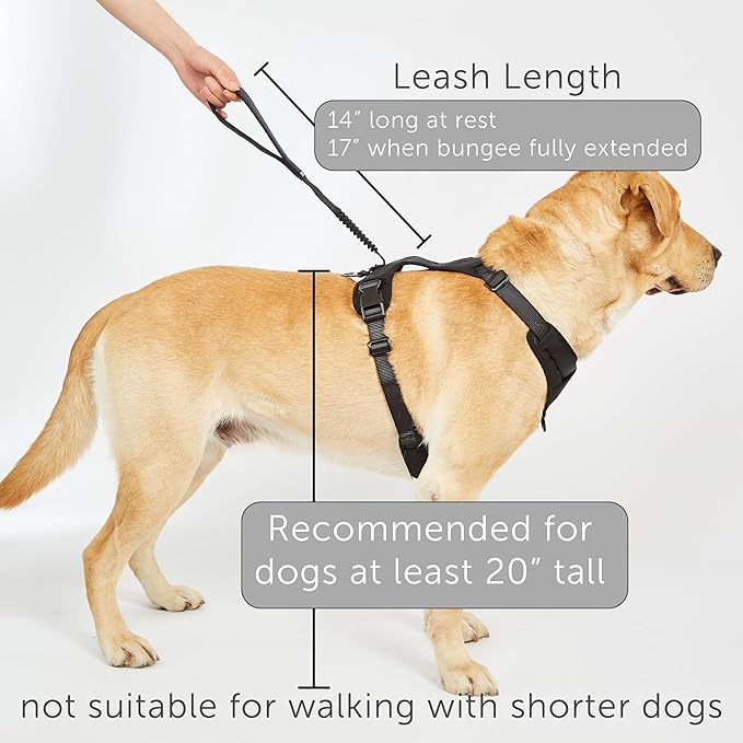 TUG Grab Dog Harness | Integrated Traffic Leash Magnetically Attached for Quick Control (Large/Green)