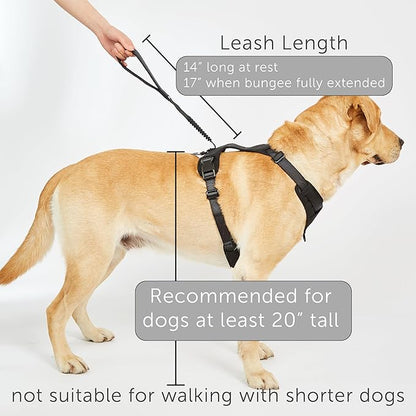 TUG Grab Dog Harness | Integrated Traffic Leash Magnetically Attached for Quick Control (Large/Green)