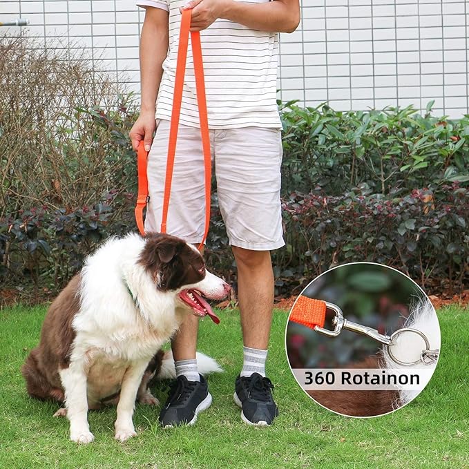 AMAGOOD 6 FT Puppy/Dog Leash, Strong and Durable Traditional Style Leash with Easy to Use Collar Hook, Great for Small, Medium and Large Dogs (3/4 in x 6 ft, Black and Orange 2-Pack)