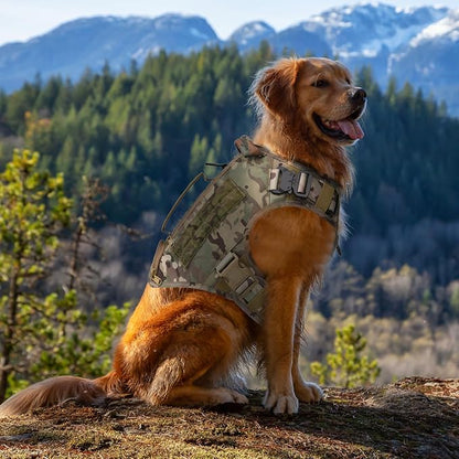 Tactical Dog Backpack Harness for Large Breed Original Design Metal Buckle Vest with Side Bags Pouches for Service Working Training (Camouflage (Vest only), XL)
