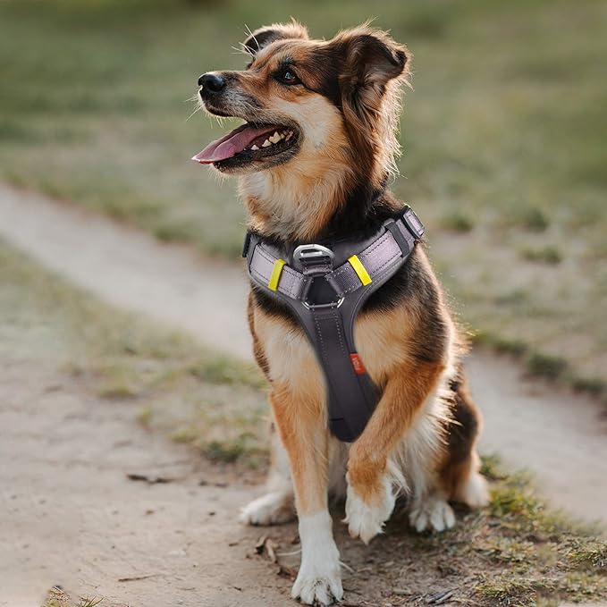 Fida Dog Harness, Multi-Functional No-Pull Pet Vest Harness with Saddle Bags Backpack, Front Leash Clip, Adjustable Soft Padded Reflective No-Choke Dog Vest Heavy Duty for Small Dog, S, Black