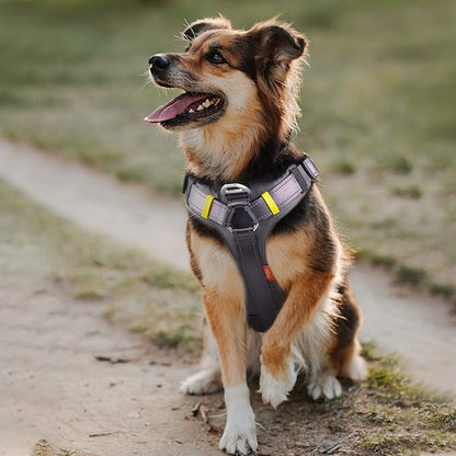 Fida Dog Harness, Multi-Functional No-Pull Pet Vest Harness with Saddle Bags Backpack, Front Leash Clip, Adjustable Soft Padded Reflective No-Choke Dog Vest Heavy Duty for Small Dog, S, Black