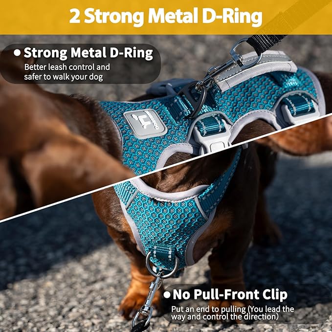 Huntboo Escape Proof Dog Harness, Escape Artist Harness, Fully Reflective Harness with Padded Handle, Breathable, Durable, Adjustable Vest for Small Dogs Walking, Training, and Running Gear (Teal,S)