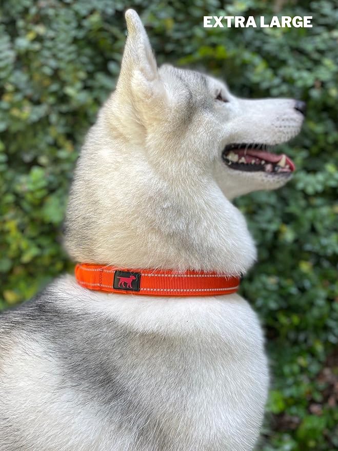 Tuff Pupper Heavy Duty Dog Collar with Handle | Ballistic Nylon Heavy Duty Collar | Padded Reflective Dog Collar with Adjustable Stainless Steel Hardware | Convenient Sizing for All Breeds