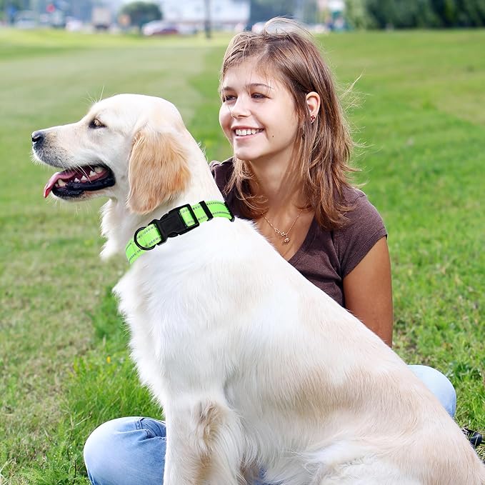 Mile High Life Reflective Dog Collar, Basic Dog Collars Adjustable Quick Release, Soft Nylon Pet Collar with Metal D-Ring for Small Medium Large Dogs (Lime, L Neck15-19")