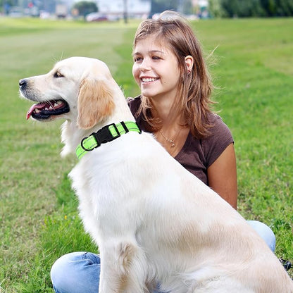 Mile High Life Reflective Dog Collar, Basic Dog Collars Adjustable Quick Release, Soft Nylon Pet Collar with Metal D-Ring for Small Medium Large Dogs (Lime, L Neck15-19")