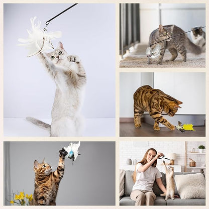 CUTIE PAW PAL Variety Play Set, 5 Pack Refills for Wand and Fishing Poles, Spring Wires, Door/Wall Hang Ropes. 2 Bird, 2 Feather & Windmill Cat Toys - Bells & Easy Clip-On