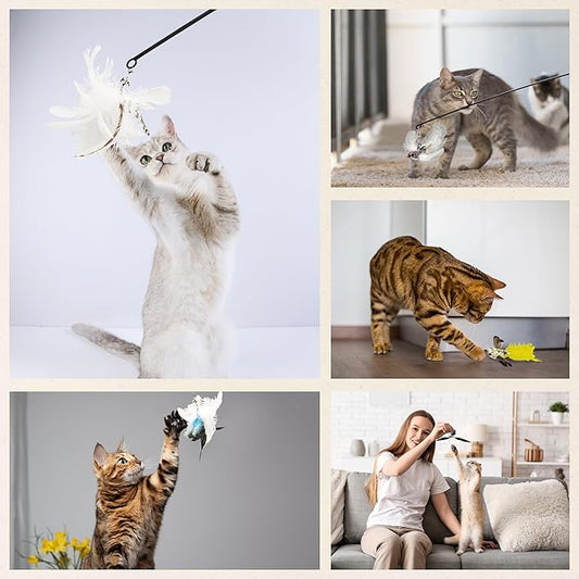 CUTIE PAW PAL Variety Play Set, 5 Pack Refills for Wand and Fishing Poles, Spring Wires, Door/Wall Hang Ropes. 2 Bird, 2 Feather & Windmill Cat Toys - Bells & Easy Clip-On