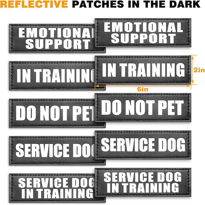 WINSEE Service Dog Vest Harness for Large Dog, Tactical Working MOLLE Vest with 10 Pet Patches, No Pull Heavy Duty Harness for Training Walking