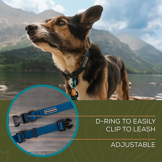 Wilderdog Waterproof Dog Collar - Repels Water & Dirt - Large 17"-24" - Pacific Blue