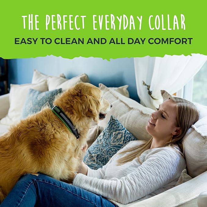 Mighty Paw Ultra Soft Dog Collar - All-Metal Adjustable Buckle for Large and Small Dogs - Super Soft Neoprene Padding for Ultimate Comfort - Heavy-Duty Hardware for Long Lasting Durability