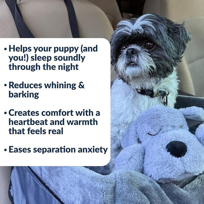 Snuggle Puppy Junior Heartbeat Puppy Toy - Heartbeat Puppy for Dogs - Pet Anxiety Relief and Calming Aid - Comfort Dog Toy - Behavioral Training and Sleep Aid Cuddle Buddy - Black