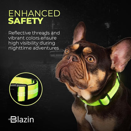 BLAZIN Reflective Dog Collar - Vibrant Color for Day and Night - Soft Neoprene Padded Collar - Adjustable Sizing -'Color Me Happy!' Dog Collars - Brighter Means Safer - (Medium, Pink)