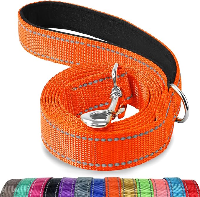 Joytale Dog Leash, 6 FT Double-Sided Reflective, Padded Handle Nylon Heavy Duty Leashes for Small & Medium Dogs Walking, Orange