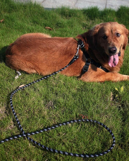 Long Dog Leash for Dog Training 10FT 16FT/30FT/50FT/100FT, Reflective Threads Rope Dog Leash, Heavy Duty Dog Lead for Large Medium Small Dogs Walking Playing, Camping, or Yard