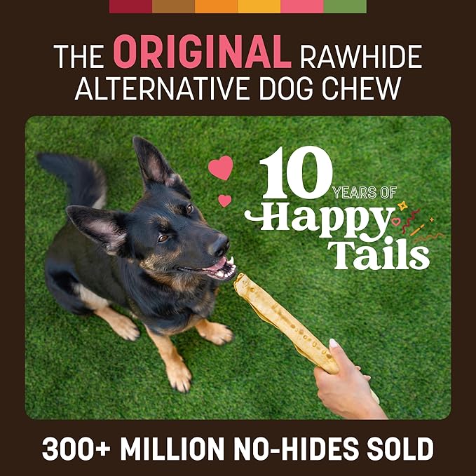 Earth Animal No Hide Chews - Long Lasting Rawhide Free Large Dog Chews Rolls, Salmon - 3 Count Value Pack