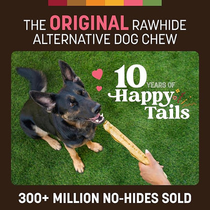 Earth Animal No Hide Chews - Long Lasting Rawhide Free Large Dog Chews Rolls, Salmon - 3 Count Value Pack