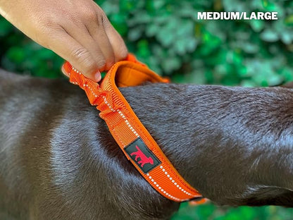 Tuff Pupper Heavy Duty Dog Collar with Handle | Ballistic Nylon Heavy Duty Collar | Padded Reflective Dog Collar with Adjustable Stainless Steel Hardware | Convenient Sizing for All Breeds
