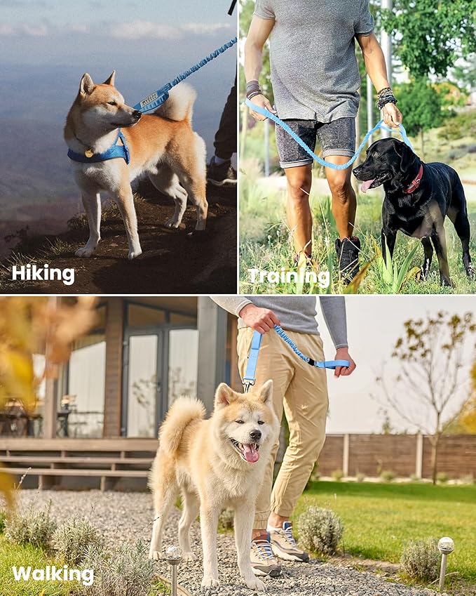 OutdoorMaster Bungee Dog Leash, Heavy Duty Dog Leash with Shock Absorption, 2 Padded Handles Training Leash, Improved Dog Safety and Comfort - Blue Upgraded, 6 FT