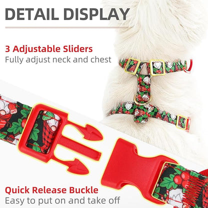 PUPTECK Christmas Dog Harness Collar and Leash Set with Gift Box, No Pull Soft Light Pet Harness, Reflective Adjustable Puppy Vest, for Small Sized Dogs Cats Walks, Red&Green S