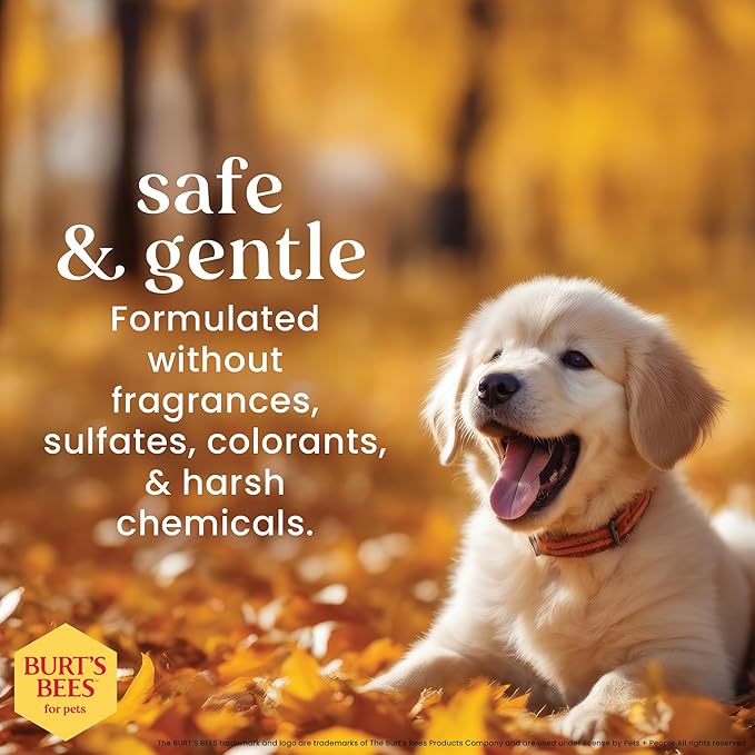 Burt's Bees for Pets Gentle Cleansing Puppy Wipes with Buttermilk, 98% Natural Origin Formulas, Hypoallergenic Dog Cleaning Wipes for Paws and Butt, 100 Count - 6 Pack