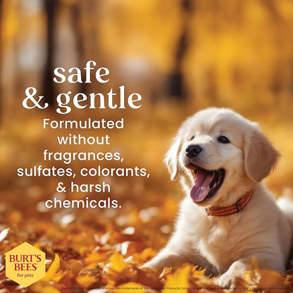 Burt's Bees for Pets Gentle Cleansing Puppy Wipes with Buttermilk, 98% Natural Origin Formulas, Hypoallergenic Dog Cleaning Wipes for Paws and Butt, 100 Count - 6 Pack