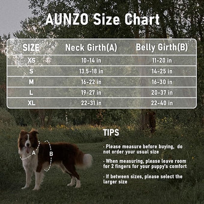 No Pull Dog Harness for Large Dogs with 2 Metal Clips, Easy On/Off with Neck Buckle, Heavy Duty Adjustable Tactical Puppy Vest, Breathable Pet Harness with Easy Control Handle, Gray L