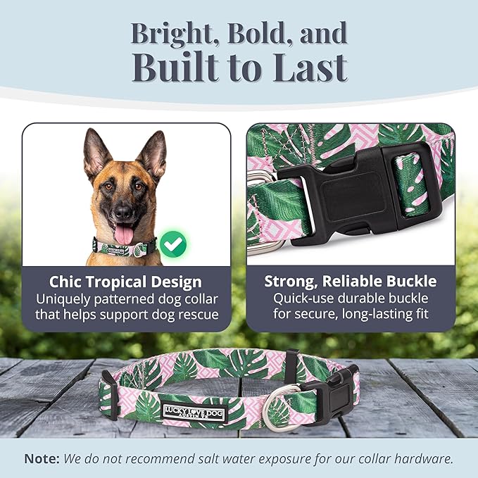 Lucky Love Dog - Adjustable Dog Collar with Easy Click Buckle for Large Ones, Durable, & Comfortable for Male & Female Dogs, Pet Collar for Puppies & Adult Dogs - Laguna, Large