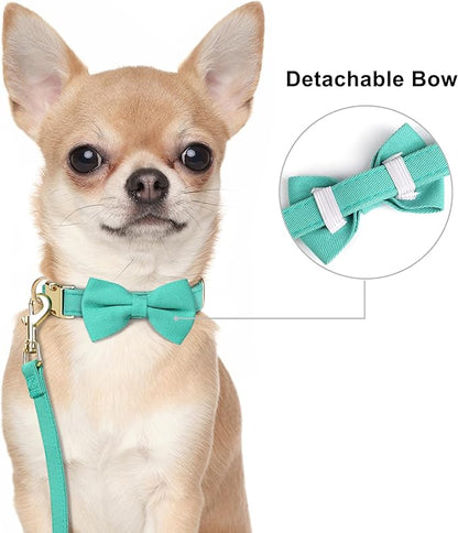 Beirui Adorable Small Dog Harness Collar and Leash Set,Cute XXS Puppy Harness Set with 3 Bows for Tiny Dogs,Chihuahua,Adjustable Step-in Vest for Daily Walking,Parties&Holiday Outfits(Teal,XXS)