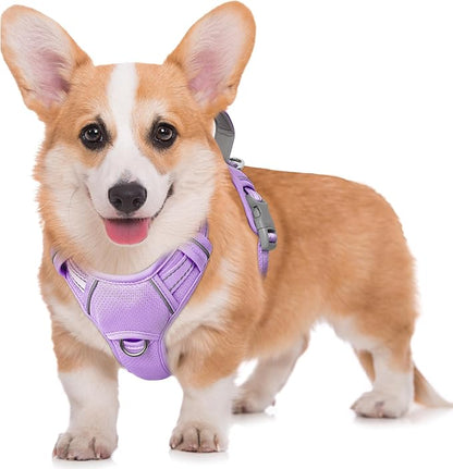 BARKBAY No Pull Dog Harness Large Reflective Dog Harness with Front Clip and Easy Control Handle for Walking Training Running with ID tag Pocket(Violet Purple,M)