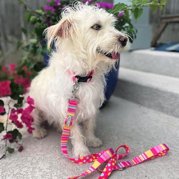 Lucky Love Dog - Adjustable Dog Collar with Easy Click Buckle for Medium, Durable, & Comfortable for Male & Female Dogs, Pet Collar for Puppies & Adult Dogs - Molly, Medium