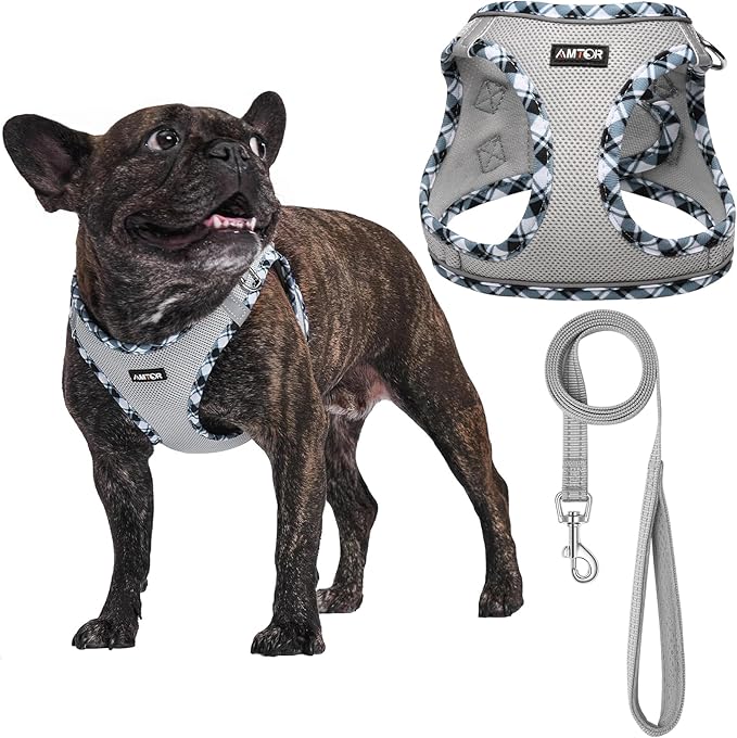 AMTOR Small Dog Harness with Leash Set, No Escape Easy Walk Puppy Harnesses for Training Walking, Step-in Reflective Soft Dogs Vest for XS S Medium Extra-Small Large Sized Dog(S,Grey)