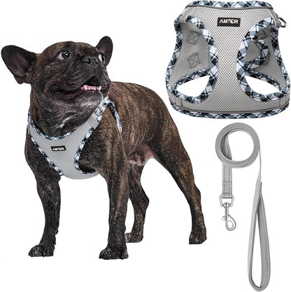 AMTOR Small Dog Harness with Leash Set, No Escape Easy Walk Puppy Harnesses for Training Walking, Step-in Reflective Soft Dogs Vest for XS S Medium Extra-Small Large Sized Dog(S,Grey)