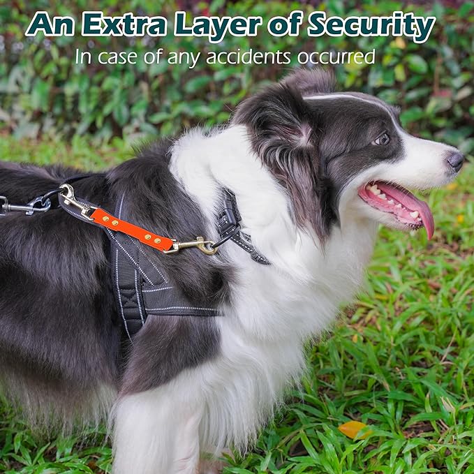 PetBonus Dog Collar Safety Clip, Waterproof Backup Safety Strap for Dog Harness to Prong Collar, Odor Proof Double Ended Clasp Leash Connector for Training Walking (Orange)