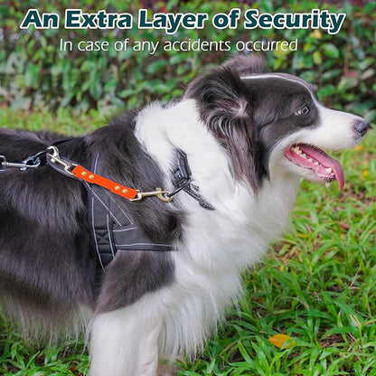 PetBonus Dog Collar Safety Clip, Waterproof Backup Safety Strap for Dog Harness to Prong Collar, Odor Proof Double Ended Clasp Leash Connector for Training Walking (Orange)