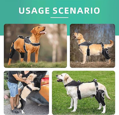Dog Knee Brace for ACL/CCL Injuries,Torn Ligament,Luxating Patella - Rear Leg Support,Pain Relief,Joint Warmth,Black,Upgraded,Both Legs,Size:L