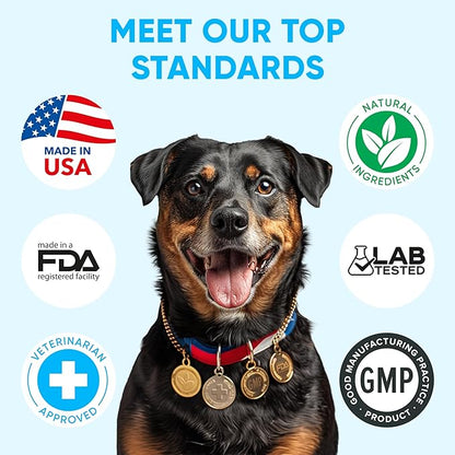 Chewable Flea and Tick Prevention for Dogs - 120 Soft Chews Made in USA - Oral Flea and Tick Control Pills for Small, Medium, Large Dogs and Puppies - Skin and Coat Supplement Treats for All Breeds