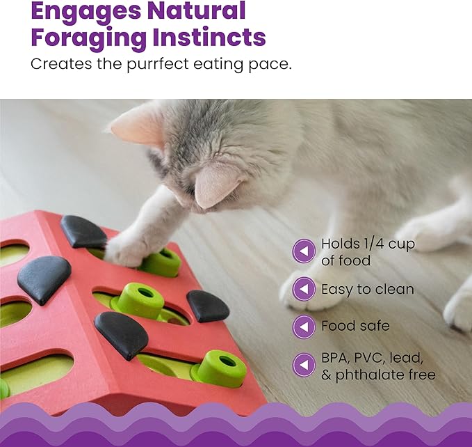 Catstages by Nina Ottosson Melon Madness Puzzle & Play – Interactive Treat Puzzle Feeder for Cats, 12 Hidden Treat Compartments Slow Feeder, Durable & Easy-Clean, 10 Inches, Pink