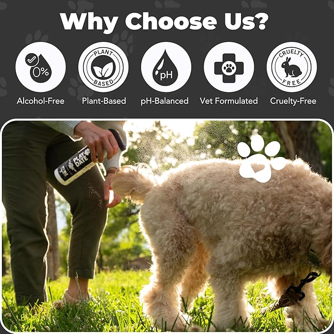 Play Date Dog Detangler Spray for Doodles, Poodles & Curly Breeds - 17 fl oz Doodle Detangler Spray with Emu Oil - Doodle Me This Kingston and Hamilton Dog Dematting - Sulfate & Paraben Free, USA Made