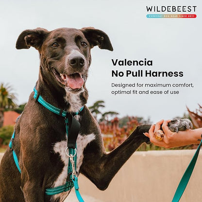 Wildebeest Valencia No Pull Dog Harness | Front and Back Leash Clips | Soft Padded Straps | Lightweight, Adjustable, Easy On/Off for Training and Dog Walking | Small Turquoise