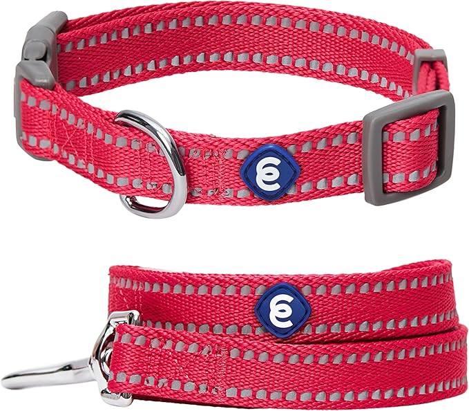 Blueberry Pet Essentials Matching Dog Collar & Leash Set | Pastel Reflective Adjustable Collar with 5 ft Lead for Medium Dogs, Very Berry