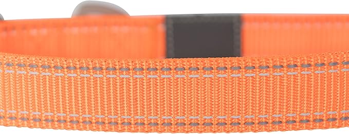 Browning Classic Preformance Webbing Pet Collar, Fully Adjustable, Available in Solid Colors and Camo Patterns, Safety Orange, Small