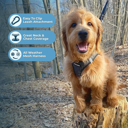 Best Pet Supplies Voyager Step-in Air Harness - All Weather Mesh, Reflective, No Pull Harness for Dogs, Cats - Secure with Hook & Loop Fastener, Buckle, Double D-Rings - Gray 2-Tone, L
