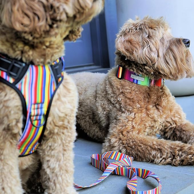 Lucky Love Dog No Pull Dog Harness, Adjustable and Easy to Walk, Cute Patterned Harness for Small Medium Large Male & Female Dogs - Hippie, Large
