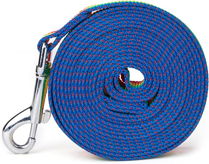 Siumouhoi Strong Durable Nylon Dog Training Leash, 1 Inch Wide Traction Rope, 6 ft 10ft 15ft Long, for Small and Medium Dog (Rainbow, 10 Feet)
