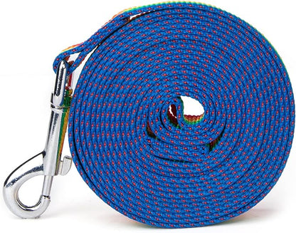 Siumouhoi Strong Durable Nylon Dog Training Leash, 1 Inch Wide Traction Rope, 6 ft 10ft 15ft Long, for Small and Medium Dog (Rainbow, 10 Feet)