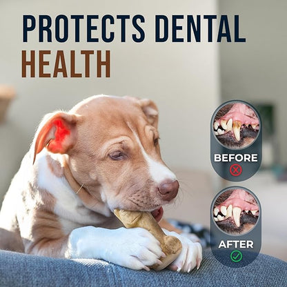 GOWGOW Real Gorilla Chew Toys - Coffee Wooden Toys for Small Dog Over 18lbs - 100% Natural Dog Toys - Teeth Cleaning, Reduce Anxiety in Puppy Dogs - Mental Stimulation