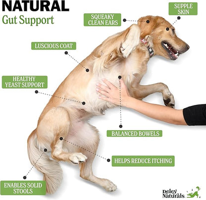 Deley Naturals Dog Probiotic Chews - Dogs Probiotic for Digestive Health with 4 Billion CFUs & Digestive Enzymes - Anti Diarrhea for Dogs - Dog Gut Health Probiotics for Allergies - Made in The USA